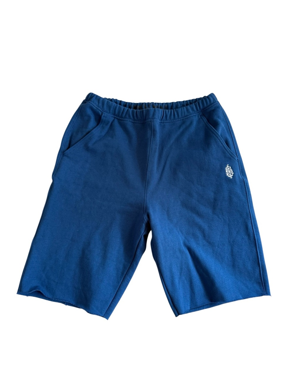 Free people FREE PEOPLE MOVEMENT For the Win Long Shorts Blue Size Medium - Picture 2 of 8